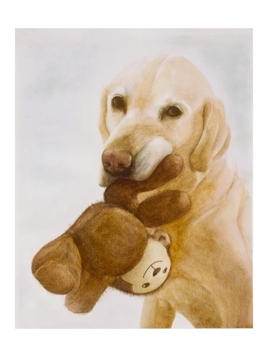 Watercolour and coloured pencil close-up of a pale yellow Labrador carrying a well-loved brown teddy bear in its mouth.