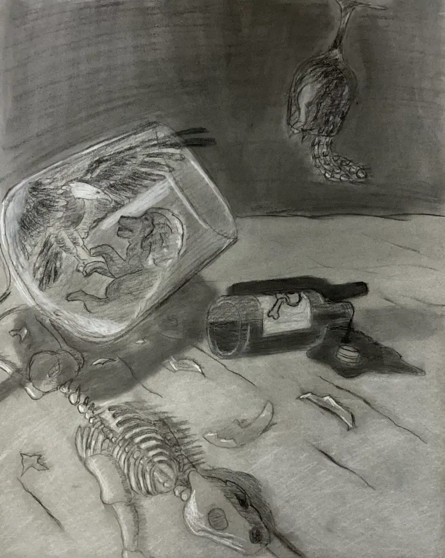 Charcoal drawing of a toppled glass bowl spilling its contents across a surface, a fish skeleton below and a bird suspended above.